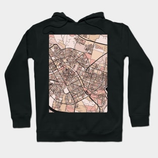 Valencia Map Pattern in Soft Pink Pastels Hoodie